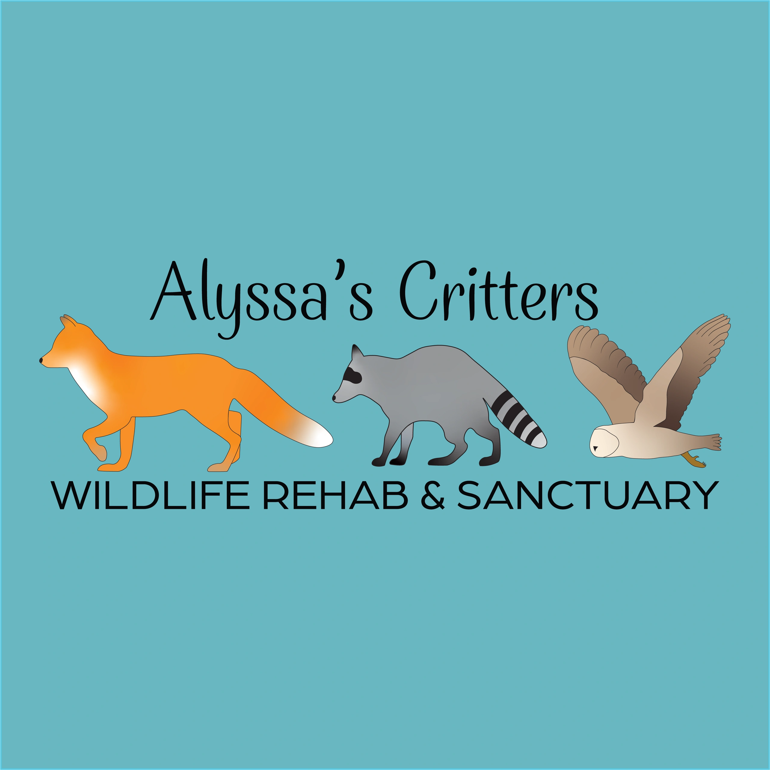 Alyssa s Critters Wildlife Rehab Sanctuary Alyssa s Critters Wildlife Rehab Sanctuary